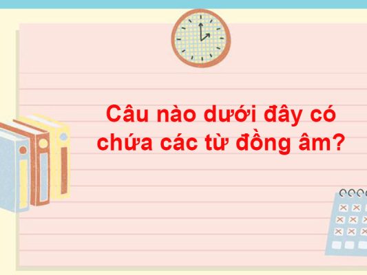 Câu nào dưới đây có chứa các từ đồng âm?